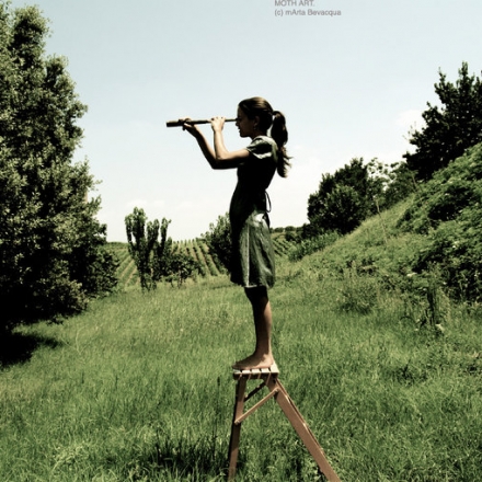 대한민국의 모든 스타트업 관계자를 위한 고벤처포럼 11월 모임