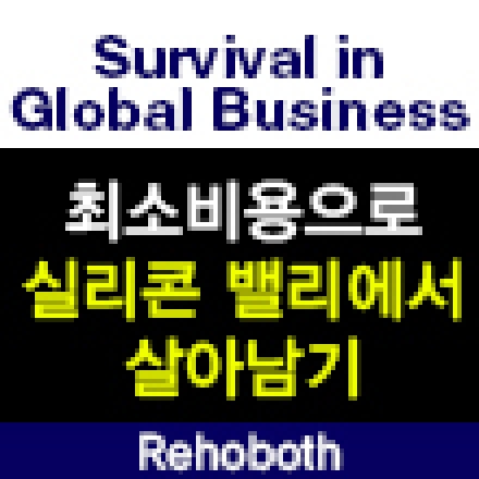 [글로벌 프로젝트] 최소비용으로 실리콘 밸리에서 살아남기!!