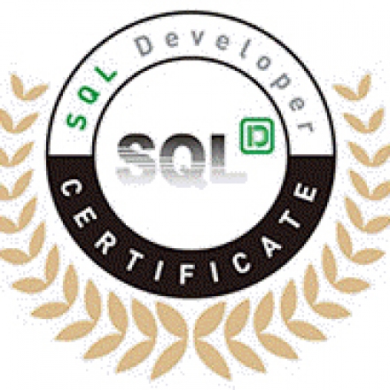 [60-100% 정부지원] SQL 쿼리 제대로 짜게 해주는 SQLD 자격증 제대로 따는 방법~!!