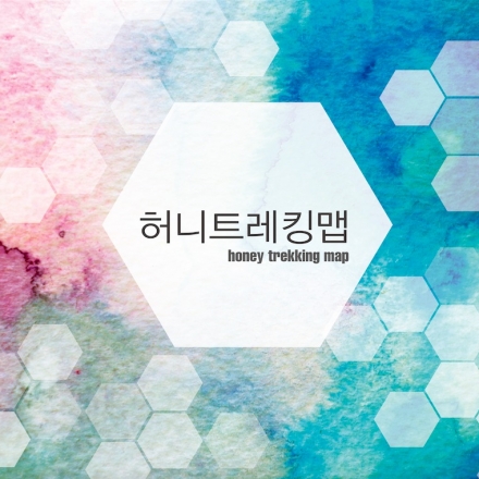 [허니트레킹맵] 내안의 욕구가치탐색 실천플랜 세우기