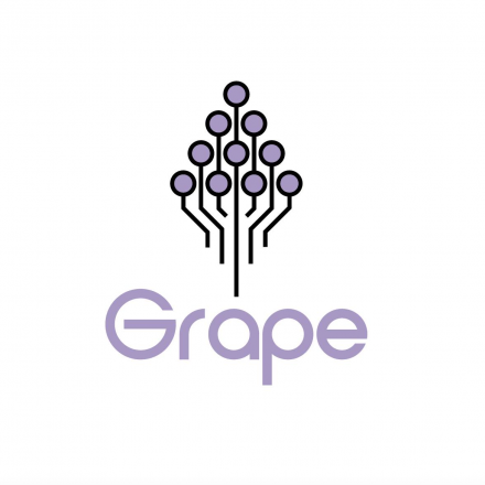 Grape Networking Party (Grape App Launching Party) - 온오프믹스