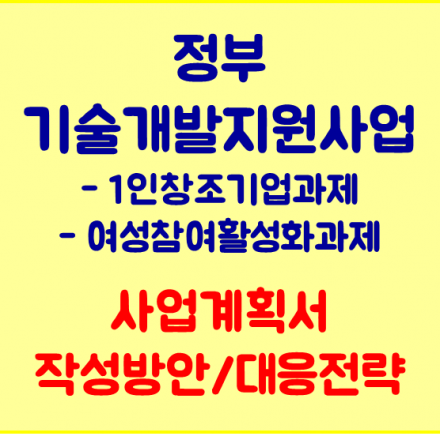 정부지원사업-1인창조기업/여성참여활성화과제 사업계획서 작성방안, 대응전략
