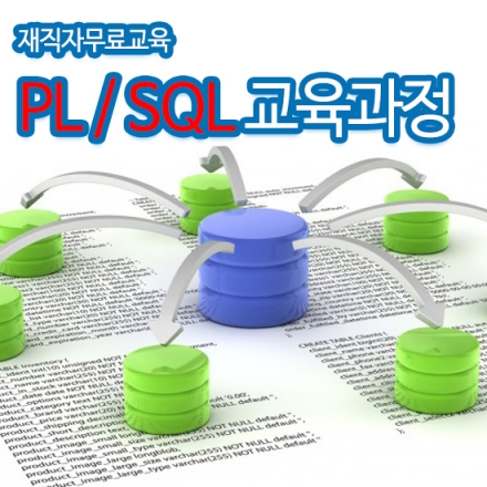 [무료교육] PL / SQL 재직자지원 무료교육과정
