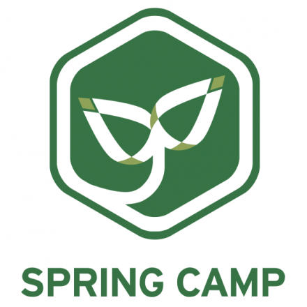 SPRING CAMP 2017