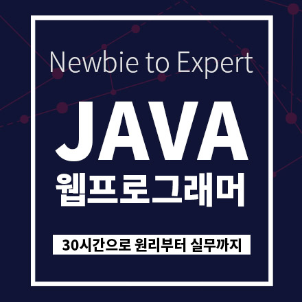 Newbie To Expert :JAVA 자바 웹프로그래머 - 30시간으로 홀로서기 개발 교육, IT 개발, 웹개발