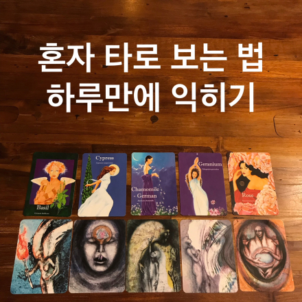 혼자 타로보는 법 하루만에 익히기