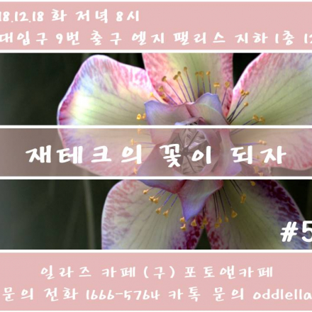 재테크ON두레렐라_홍대편