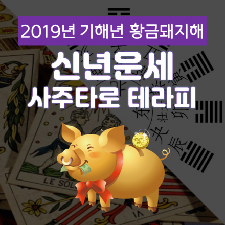 2019년 기해년 황금돼지해 신년운세 사주타로 테라피(2/25)