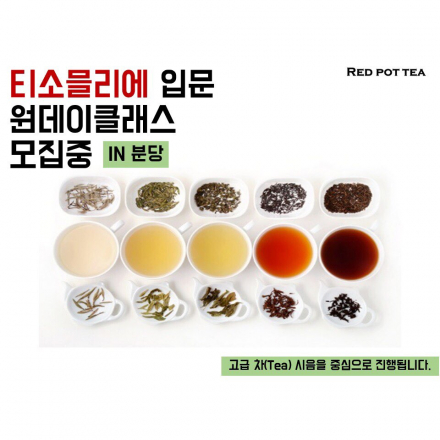 [분당원데이클래스]티소믈리에 입문 클래스