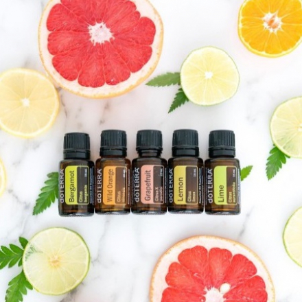 아로마무료체험과 아토피특강(8/17토요일/ 오전11시 강남역)