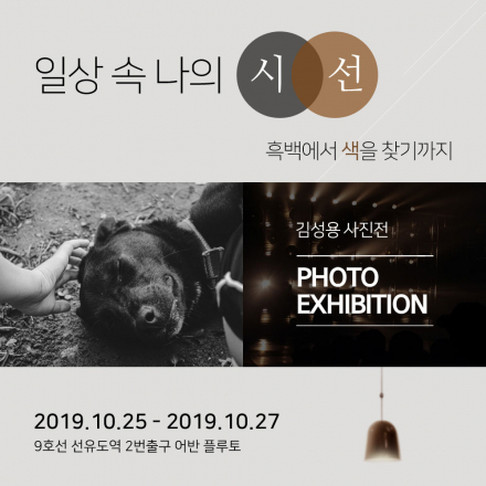일상 속 나의 시선 : 흑백에서 색을 찾기까지