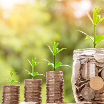 초보 토지투자 첫걸음