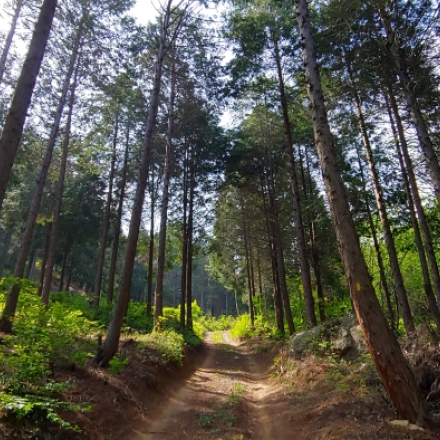 군산 - 서해안의 항구도시가 품은 녹지축을 따라! 군산 구불길 녹지순환종주 (1박2일) 트레킹!