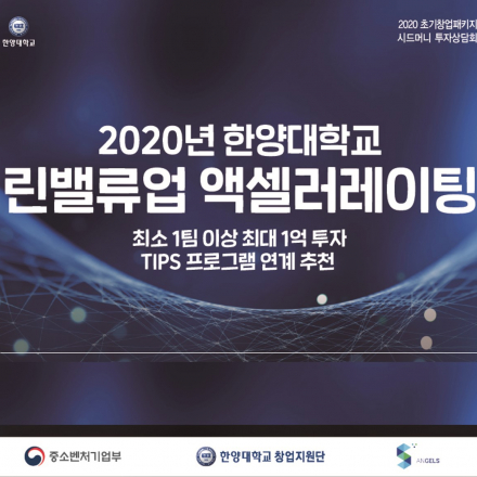2020년 한양대학교 린밸류업 액셀러레이팅(최대 1억 투자)