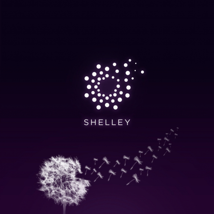 제3회 카르다노 서울 밋업