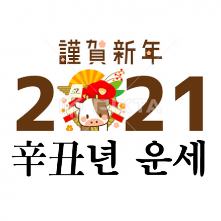 (1:1)미래를 준비하는 2021년 신축년 신년운세 with 사주/타로