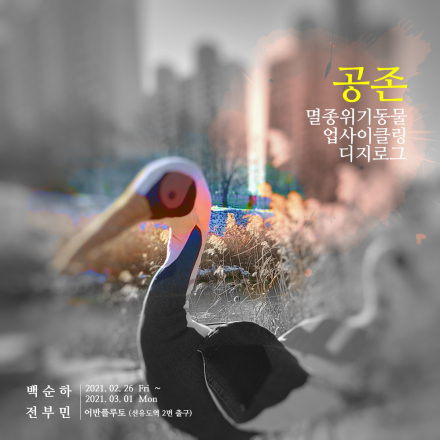 숲속의 공존