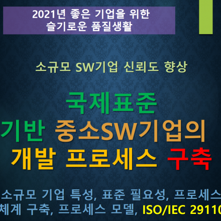 국제 표준 기반 중소 SW기업의 개발 프로세스 구축