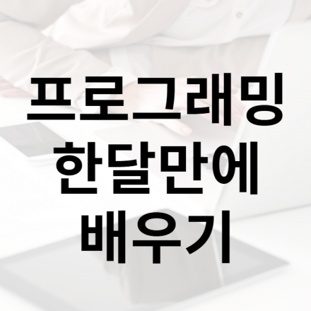 [상시진행] 프로그래밍 비전공자도 한 달만에 배우기