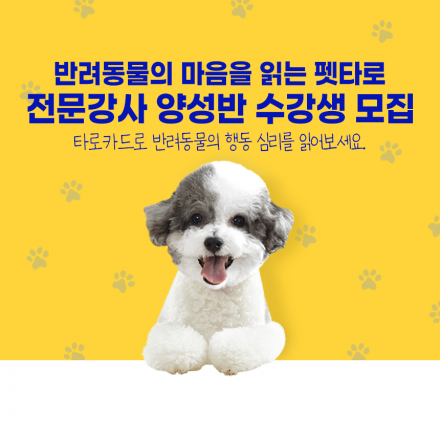 [반려동물들의 마음을 읽는 펫타로] 전문강사 양성반 5월 수강생 모집(+4월 추가 수강분 모집)