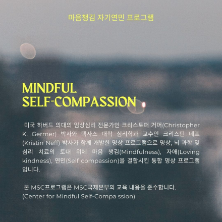 [명상] 마음챙김-자기연민 프로그램인MSC(Mindful Self Compassion) 명상 프로그램