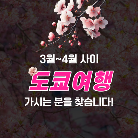 (무료모임) 벚꽃 여행 플래닝 함께 짜요!