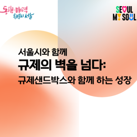 2024 서울형 규제혁신지원 성과공유회