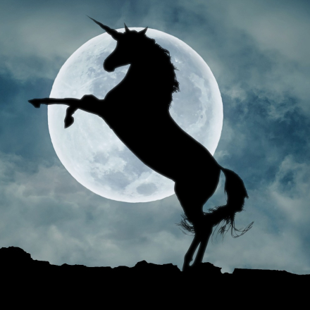 해적들의 유니콘 프로젝트