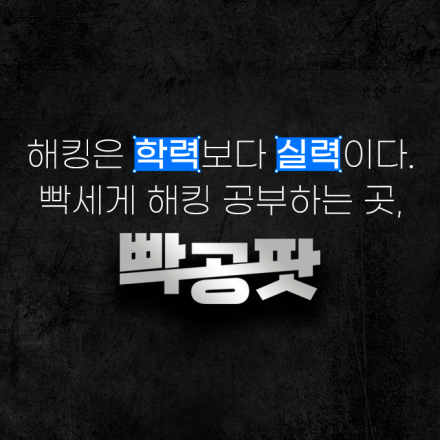 초심자를 위한 온라인 해킹 스터디, 빡공팟 12기 모집!