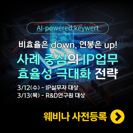 [시연포함] 사례 중심의 IP업무 효율성 극대화 전략