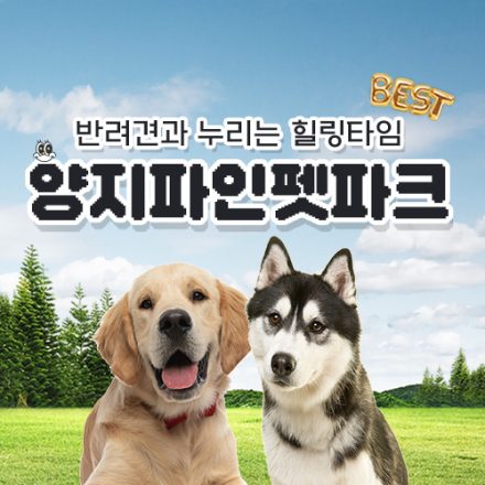 [용인] 양지파인펫파크