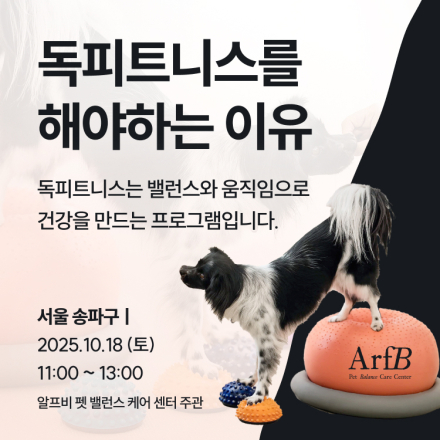 독피트니스를 해야하는 이유, 강아지 건강 지키는 첫걸음