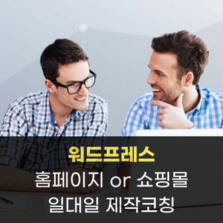 (당산)워드프레스 강의+제작코칭(홈페이지/쇼핑몰) 1:1 제작코칭(11/24~27)