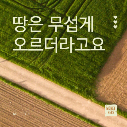 땅은 무섭게 오르더라고요