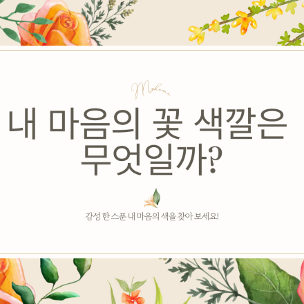 컬러로 마음을 채우다: 힐링 체험 프로그램