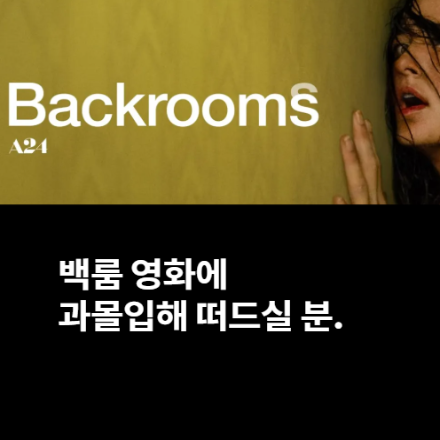 백룸 영화에 과몰입해 떠드실 분